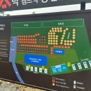 경기도당일캠핑 시흥글램핑 판타스틱캠프닉 솔직후기