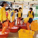 금지면 금정마을 이미지