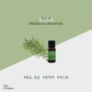 아로마헤어살롱