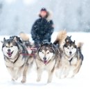 스칸디나비안 라플랜드(Lapland) 하이라이트 여행 (노르웨이, 스웨덴 및 핀란드) 이미지