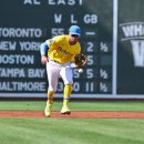 PULSE Training 이미지