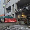 동갑이네동태&갑오징어 | 부평역 맛집 동갑이네 동갑전골 내돈내산