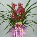 새명약국 이미지