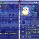 내추럴펭귄 이미지