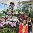 제주포인트투어 | 제주 패키지 투어 후기 자유로움까지 챙긴 힐링 여행