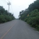 호미지맥(2구간) : 치술령-묵장산 구간