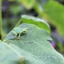 석근삼거리 이미지