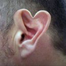 노트로담 | [뮤지컬 데스노트 후기] 그렇지만 변함없는 그 진실이 떠오른다~~