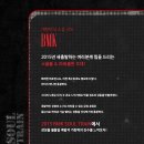 BMK 콘서트 이미지