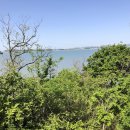 대부도공인중개사사무소 이미지