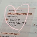 Phenomenon의 숨겨진 뜻 이미지