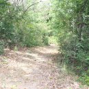 산바다여행 이미지