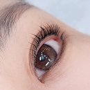 퇴계타운상가 | 춘천 퇴계동 속눈썹 펌 매우 잘하는 곳 매치브로우