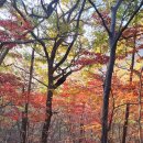 막스시오전주 이미지
