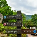 수목 비교 관찰원 이미지