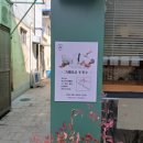 그레이시주짓수경주