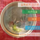 버블세탁 티스토리
