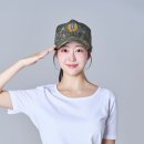 디씨엘