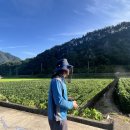 단양군 농업기술센터 이미지