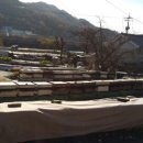 종봉농장 이미지