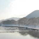 죽녹원로 이미지