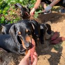 가온누리 농장 이미지