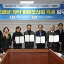 배양 이미지