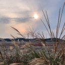 대부해솔길 4코스 이미지