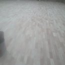 안성시체육관 이미지