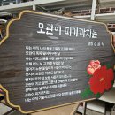 의신초등학교 이미지