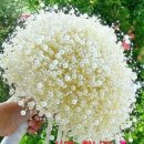 생각연구원(주) 이미지