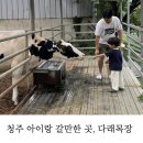 수피자 내수점 | 청주 아이랑 갈만한 곳, 내수 다래목장 동물 먹이주기부터 수제요거트까지