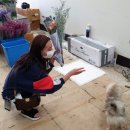 쁘렝땅플레르 이미지