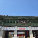 봉은사 선불당 | 봉은사 홍매화 위치와 꽃구경 후기(26.03.28)