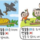 [295] '안갚음'과 '앙갚음' 이미지