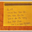 미술관 자작나무숲 이미지