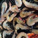 부안 스카이 펜션 이미지