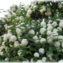 원광병원 이미지