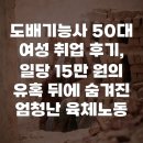 도배기능사 | 도배기능사 50대 여성 취업 후기, 일당 15만 원의 유혹 뒤에 숨겨진 엄청난 육체노동