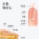 뷰티엔건강