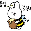 베리트실용음악학원