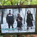 전국휴양림,숲나들e . 이미지