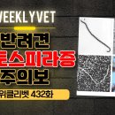 위클 이미지