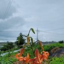 농가의하루 이미지