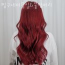 롯테미용실