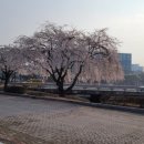 한국과학기술원(서측식당) 이미지