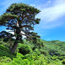 대봉약수터 이미지