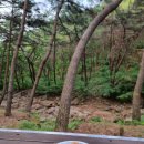 성주봉자연휴양림 | 성주봉 자연휴양림 후기