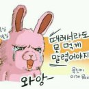 와이짐휘트니스 - 군산시 대명4길 9 | 와이짐휘트니스