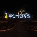 11월25일 목요일 부산시민공원 진주운영님리딩 이미지